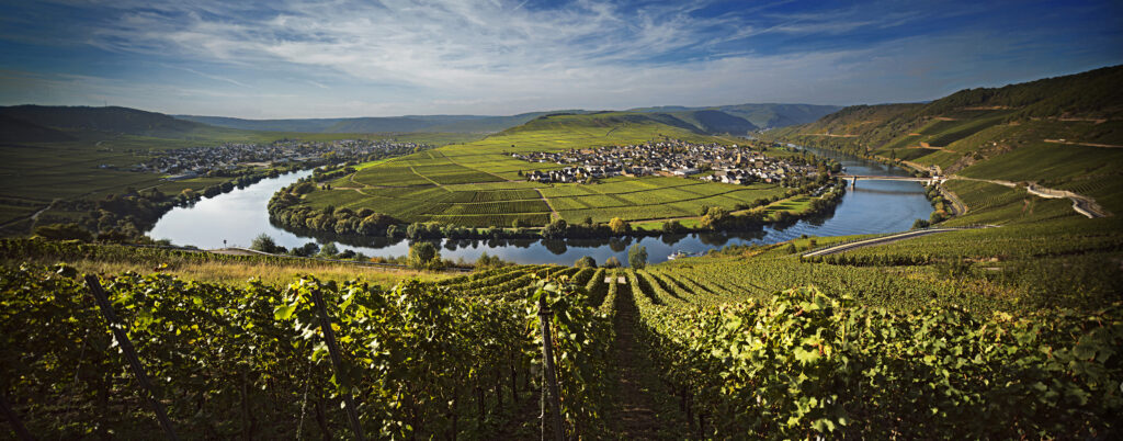 RiverCruises My Winelands