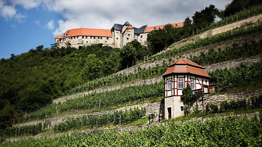 wine-golf-country-weinkurztrip-wein-und-kulturreise-saale-unstrut-und-sachsen-galerie-4