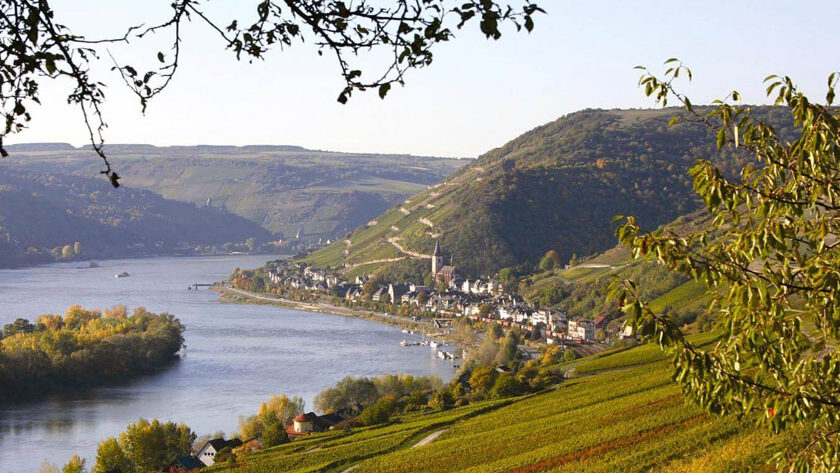 wine-golf-country-weinkurztrip-wein-und-kulturreise-rheingau-galerie-1