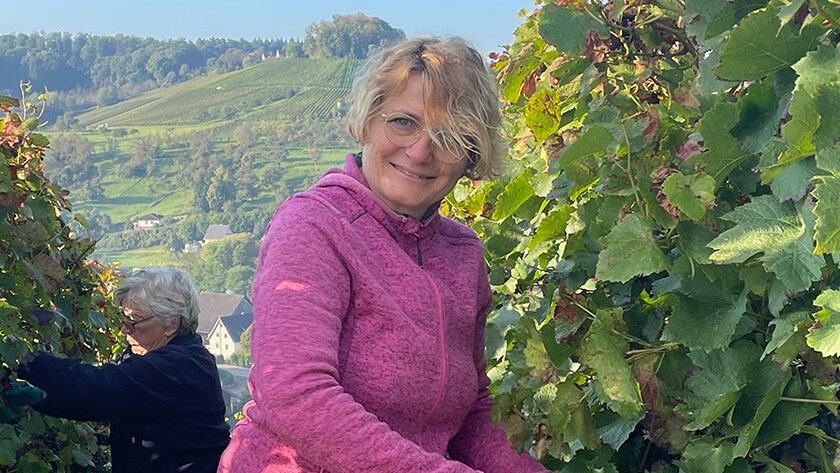 wine-golf-country-weinwissen-württemberg-galerie-1