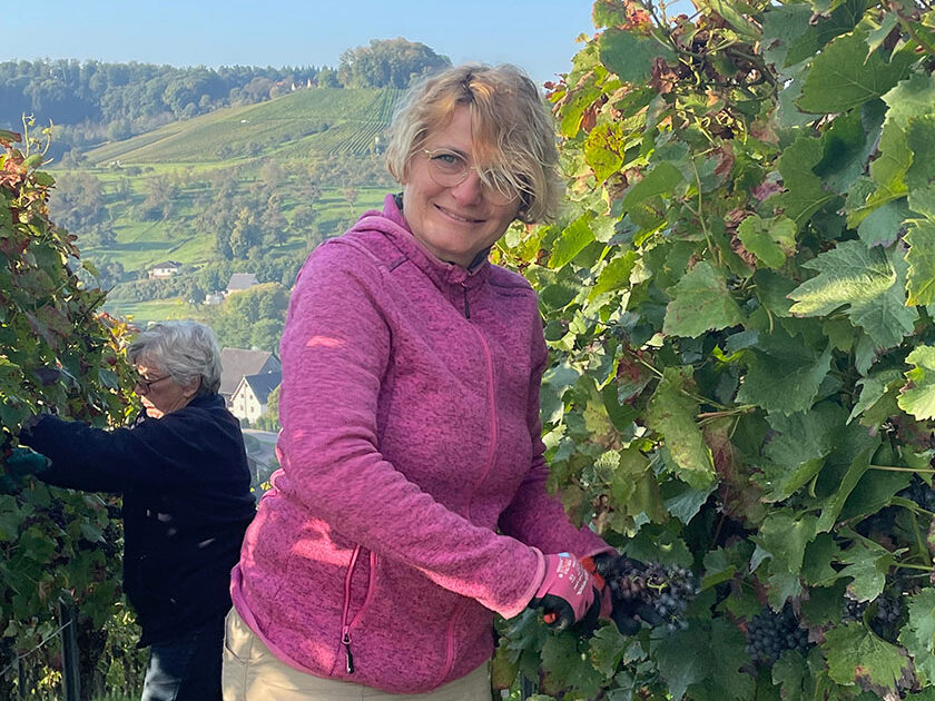 wine-golf-country-weinwissen-württemberg-galerie-1